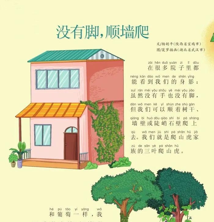 没有脚，顺墙爬