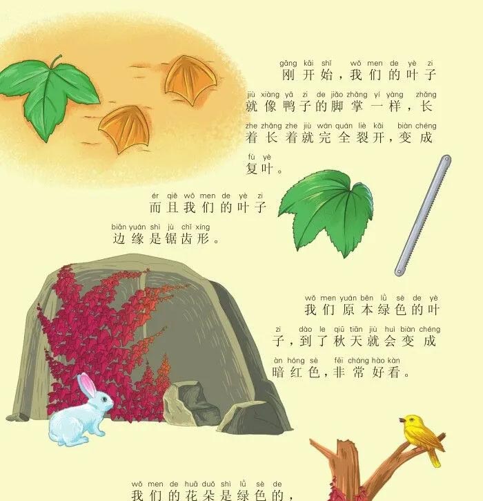 没有脚，顺墙爬