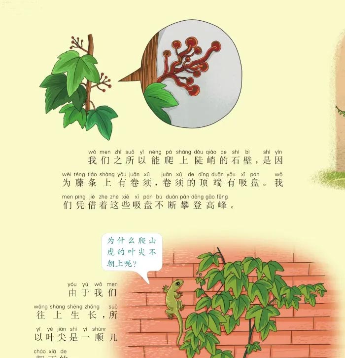 没有脚，顺墙爬