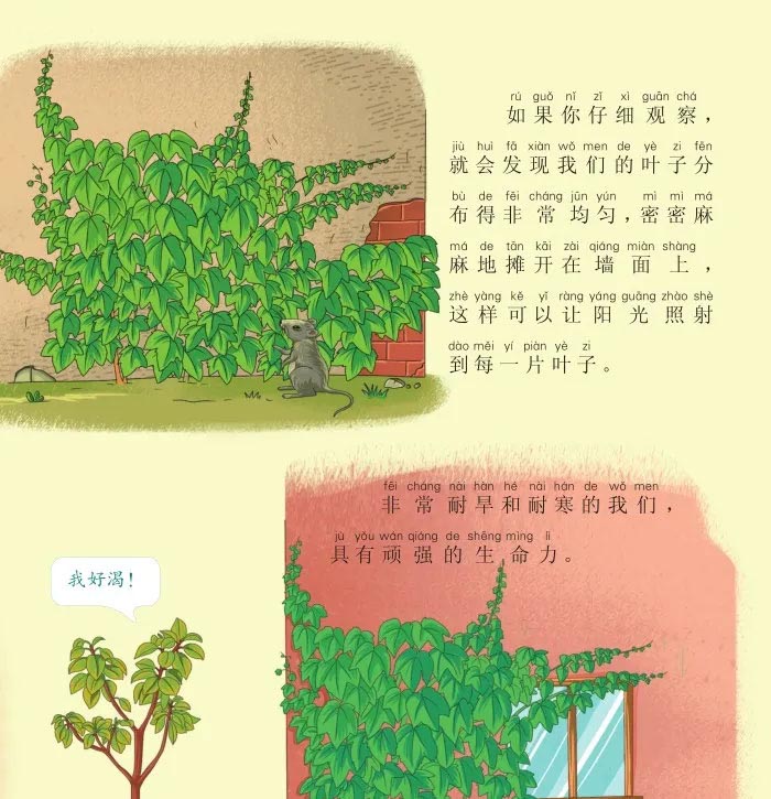 没有脚，顺墙爬