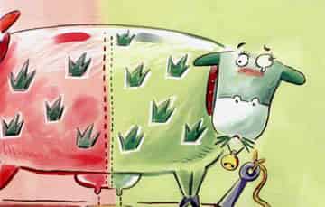 不吃苹果的苹果奶牛 不吃苹果的苹果奶牛
