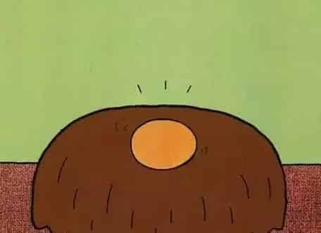 你好，鸡蛋哥哥