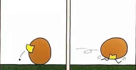 你好，鸡蛋哥哥