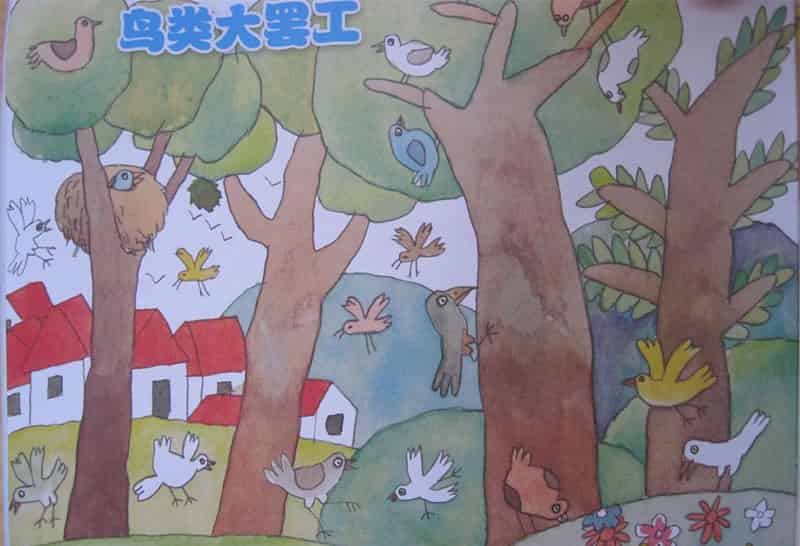 中班故事｜鸟类大罢工