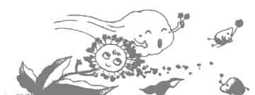 白色的小绒帽 白色的小绒帽