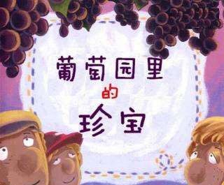 葡萄园里的珍宝 葡萄园里的珍宝