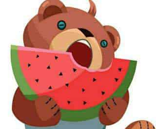 小胖熊吃西瓜