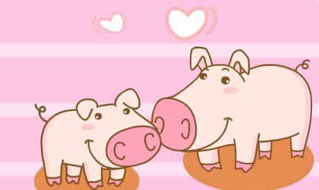 胖小猪和他的妈妈
