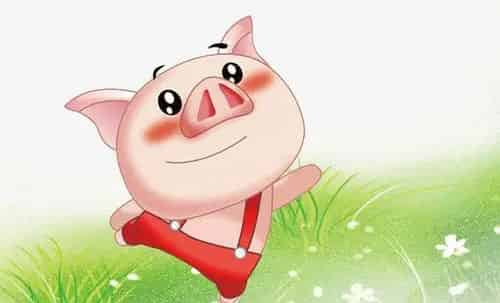 穿红肚兜的大耳猪