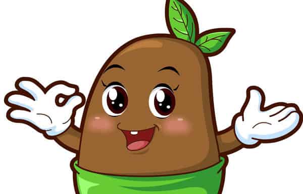 奇怪的种子 奇怪的种子