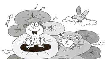 青蛙姐姐:阳光灿烂的日子 青蛙姐姐:阳光灿烂的日子