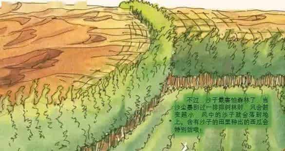 奇妙的沙子