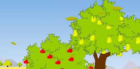 秋天的喜悦 秋天的喜悦