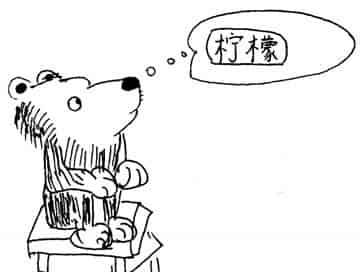 晴天小熊系列故事