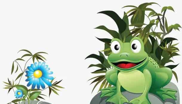 小青蛙的好日子