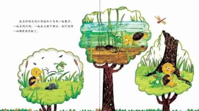 青蛙的乌龟朋友