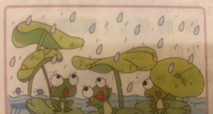 躲雨的青蛙 躲雨的青蛙