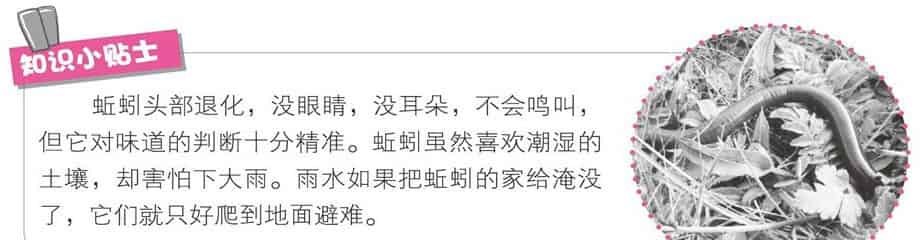 秘密大会