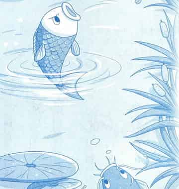 青鱼和鲇鱼 青鱼和鲇鱼