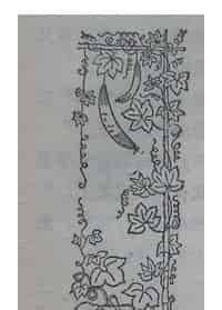 高的只是你的那个架子