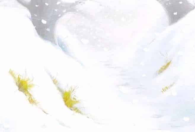 什么时候才下雪