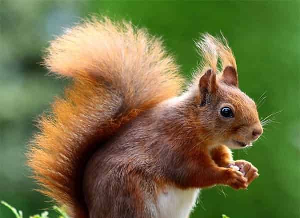 卡卡有个大嘴巴