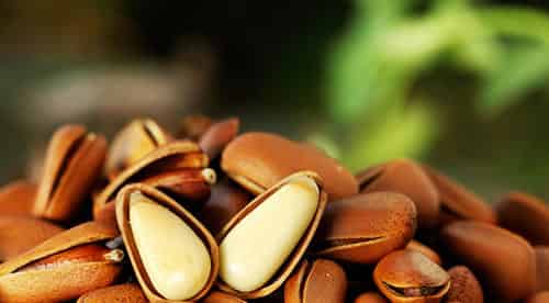 卡卡有个大嘴巴