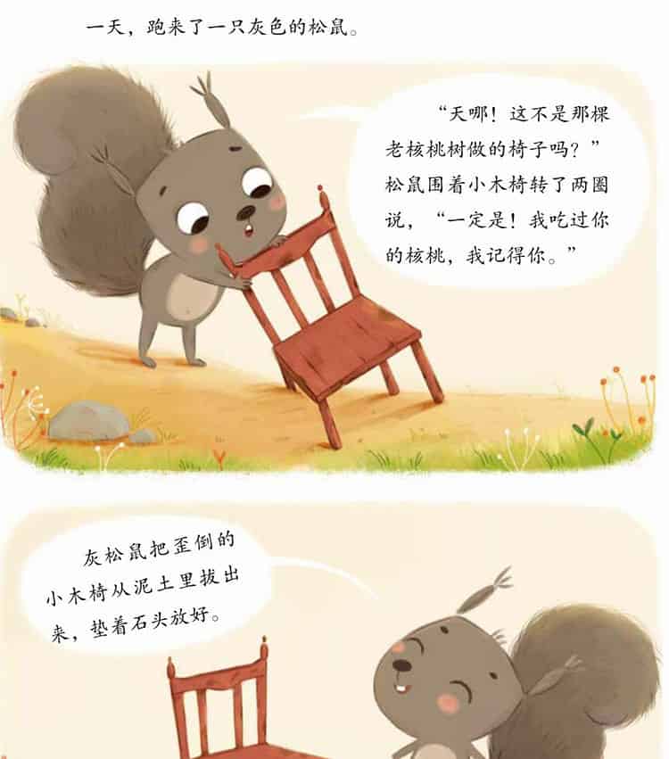 山坡下的小木椅