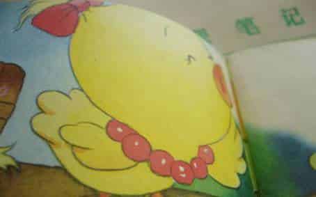 树上有个家 树上有个家