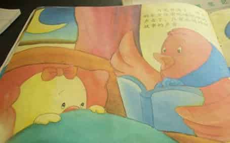 树上有个家 树上有个家