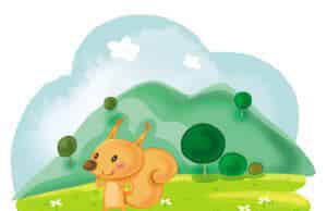 松鼠种下的愿望