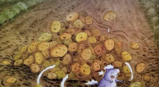 土豆滚啊滚 土豆滚啊滚