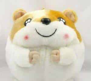 田鼠与家鼠 田鼠与家鼠