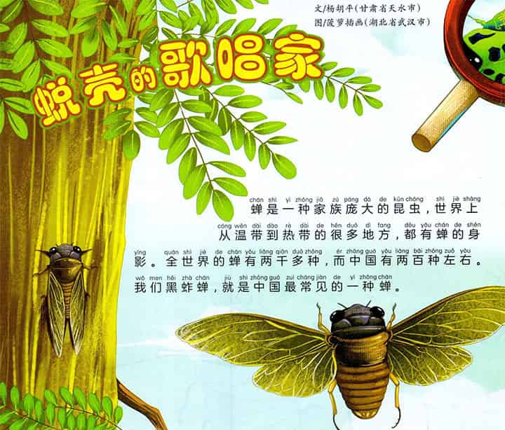 蜕壳的歌唱家 蜕壳的歌唱家