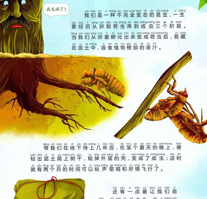 蜕壳的歌唱家 蜕壳的歌唱家