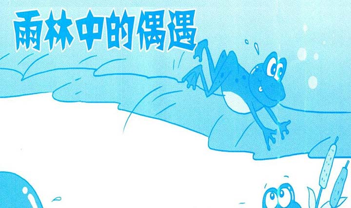 青蛙和树蛙雨林中的偶遇 青蛙和树蛙雨林中的偶遇