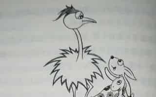 鸵鸟大姐的花手绢