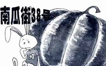 南瓜镇南瓜街38号