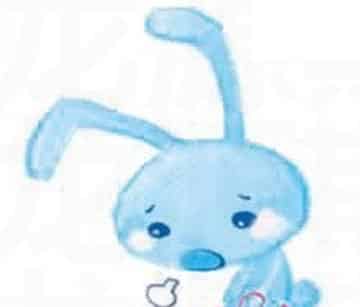 兔子图图 兔子图图