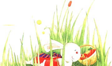 兔子，站住