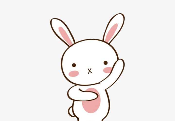 兔子阿七的美发店