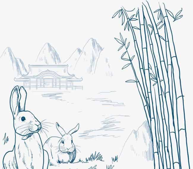 一棵想飞的竹子