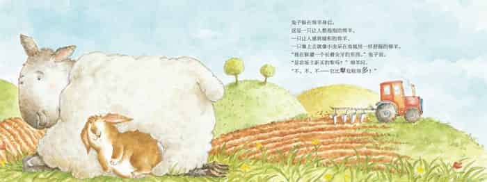 快跑,兔子快跑！