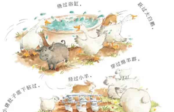 快跑,兔子快跑！