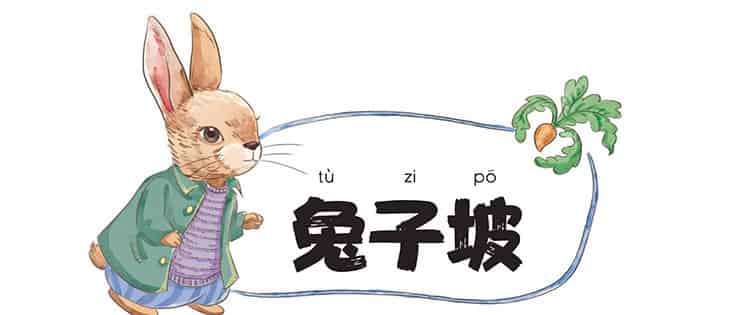 兔子坡 第八章 阿纳达斯叔叔的疑虑 兔子坡 第八章 阿纳达斯叔叔的疑虑