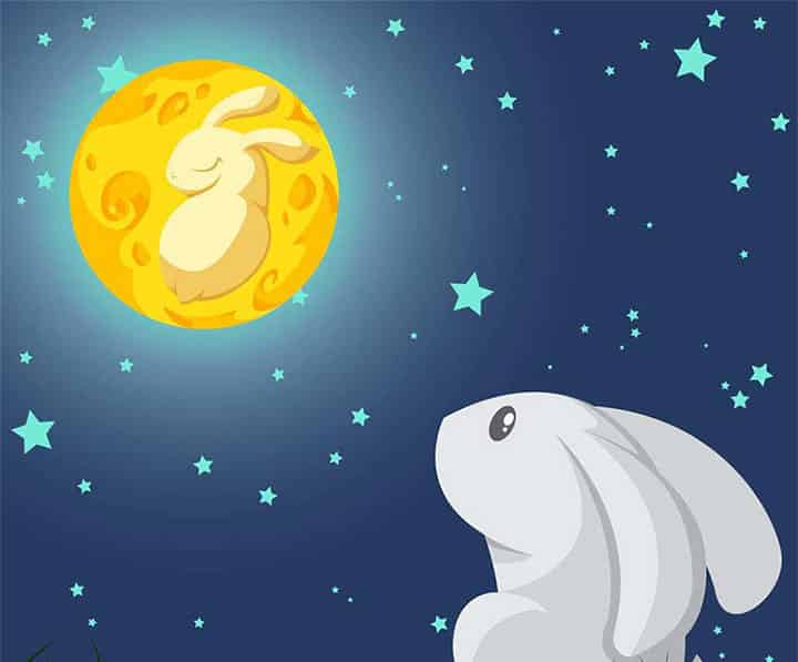 我的月亮分给你