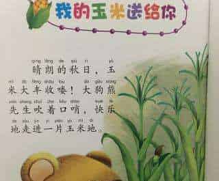 我的玉米送给你