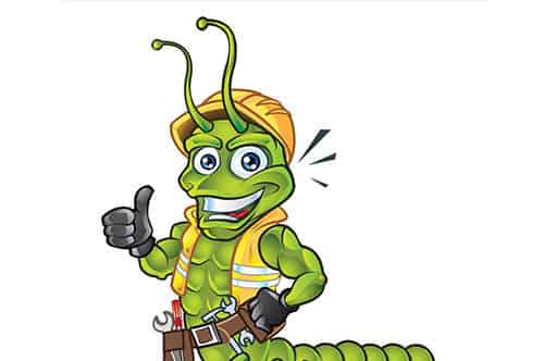 多脚先生想说什么 多脚先生想说什么