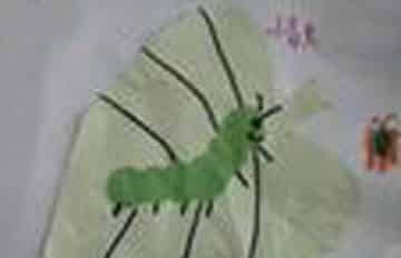 蜗牛当证人 蜗牛当证人