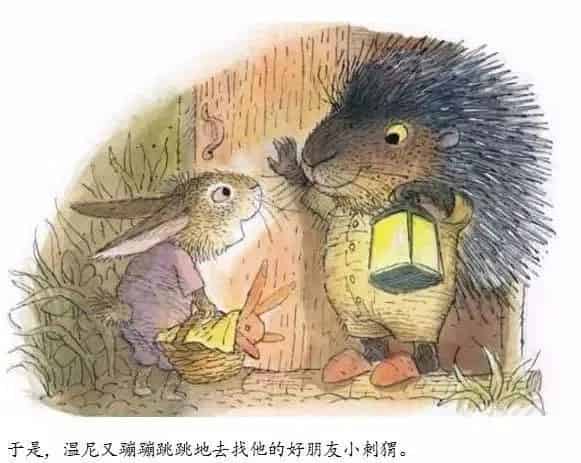 小兔温尼想换个地方睡觉